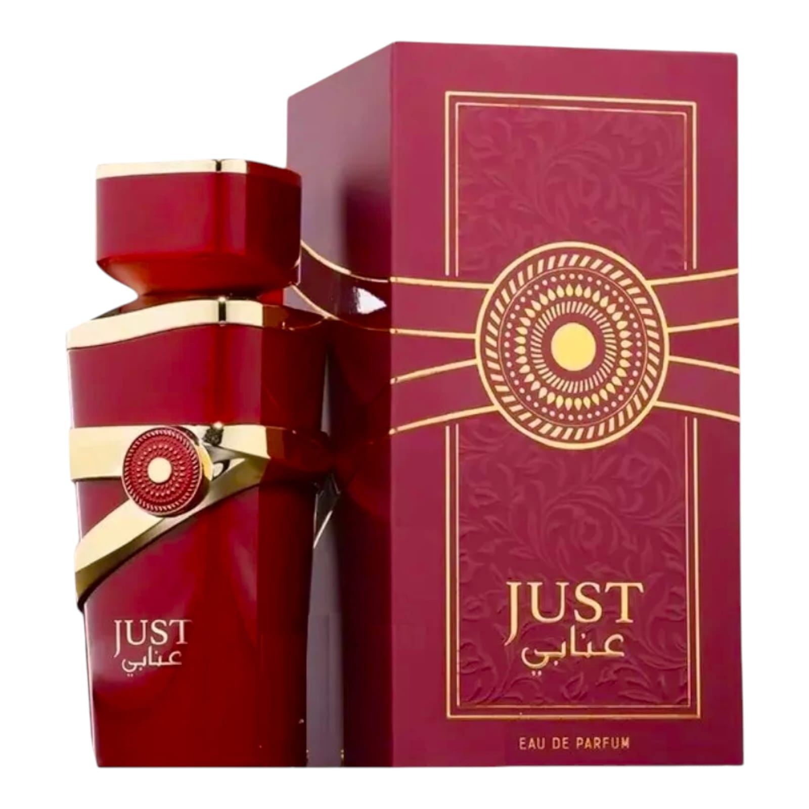 JUST ANABI BY FRAGRANCE WORLD EAU DE PARFUM 100ML