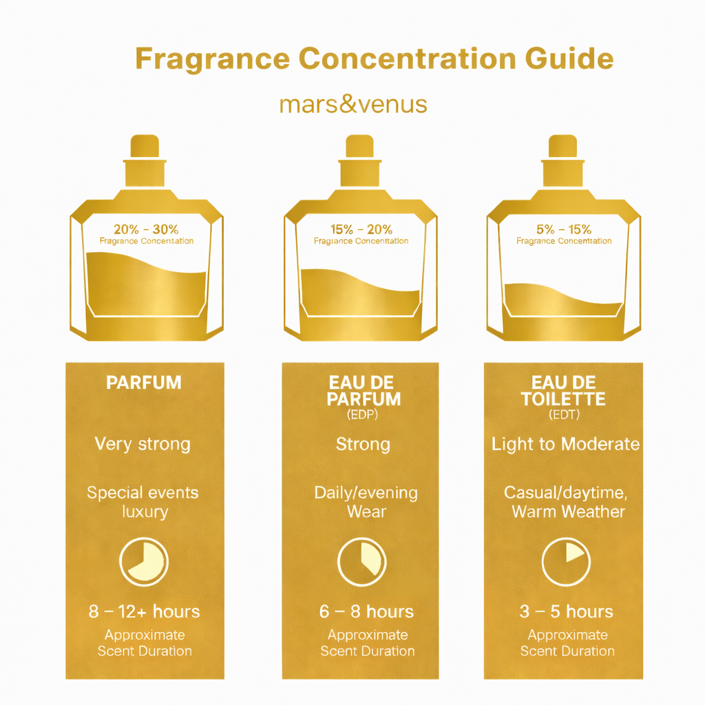 Infografik „Fragrance Concentration Guide“ mit Vergleich von Parfum (20–30 %), Eau de Parfum (15–20 %) und Eau de Toilette (5–15 %) inklusive Duftstärke und Haltbarkeit von 3 bis 12+ Stunden.