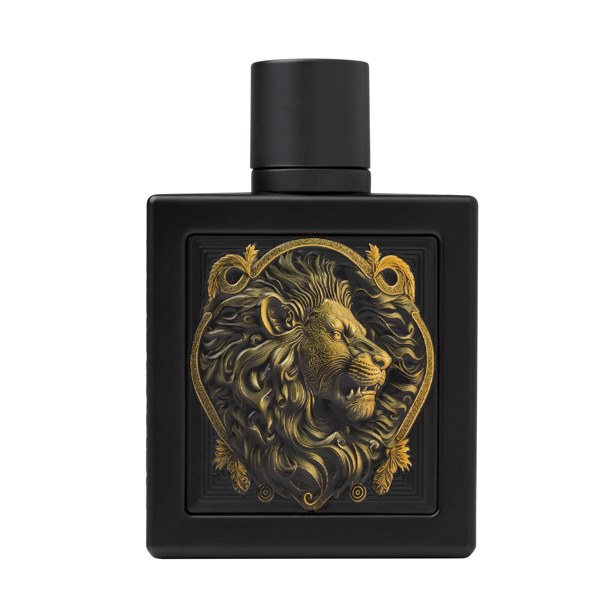 Rayhaan Aquatica - Rayhaan Tonquin Gizy - Rayhaan Italia Pour Homme - Rayhaan Terra - Rayhaan Tiger - Rayhaan Wolf - Rayhaan Kiss - Rayhaan Aura - Rayhaan Pharon Collection 100 ml – Exklusive Eau de Parfum Duftreihe | Modern, Luxuriös & Langanhaltend